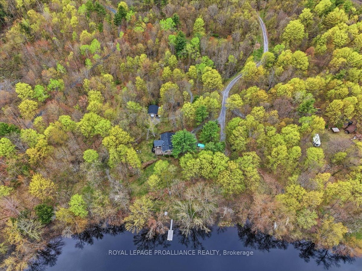 606 Black River Road • Tweed, ON photo 38