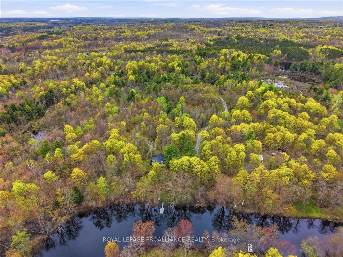 606 Black River Road • Tweed, ON photo 39