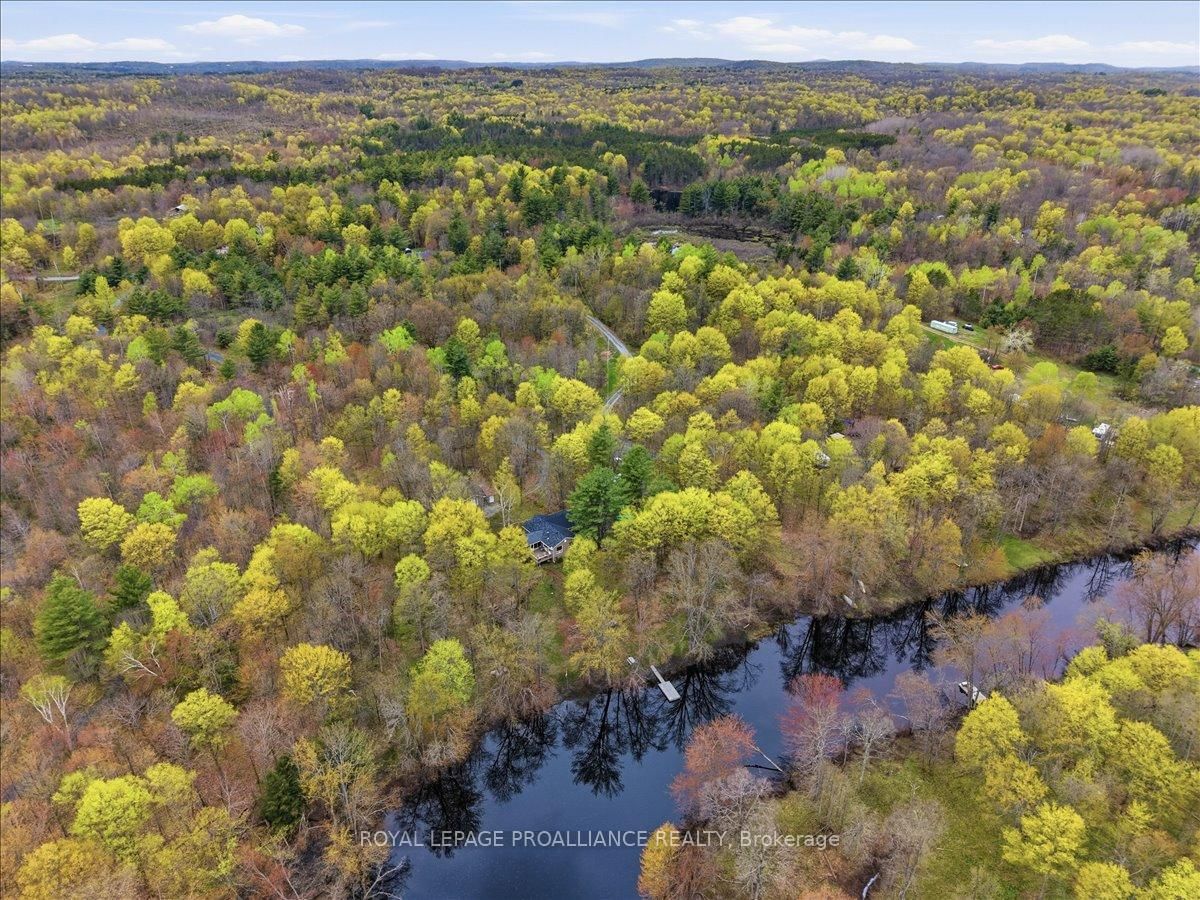 606 Black River Road • Tweed, ON photo 40