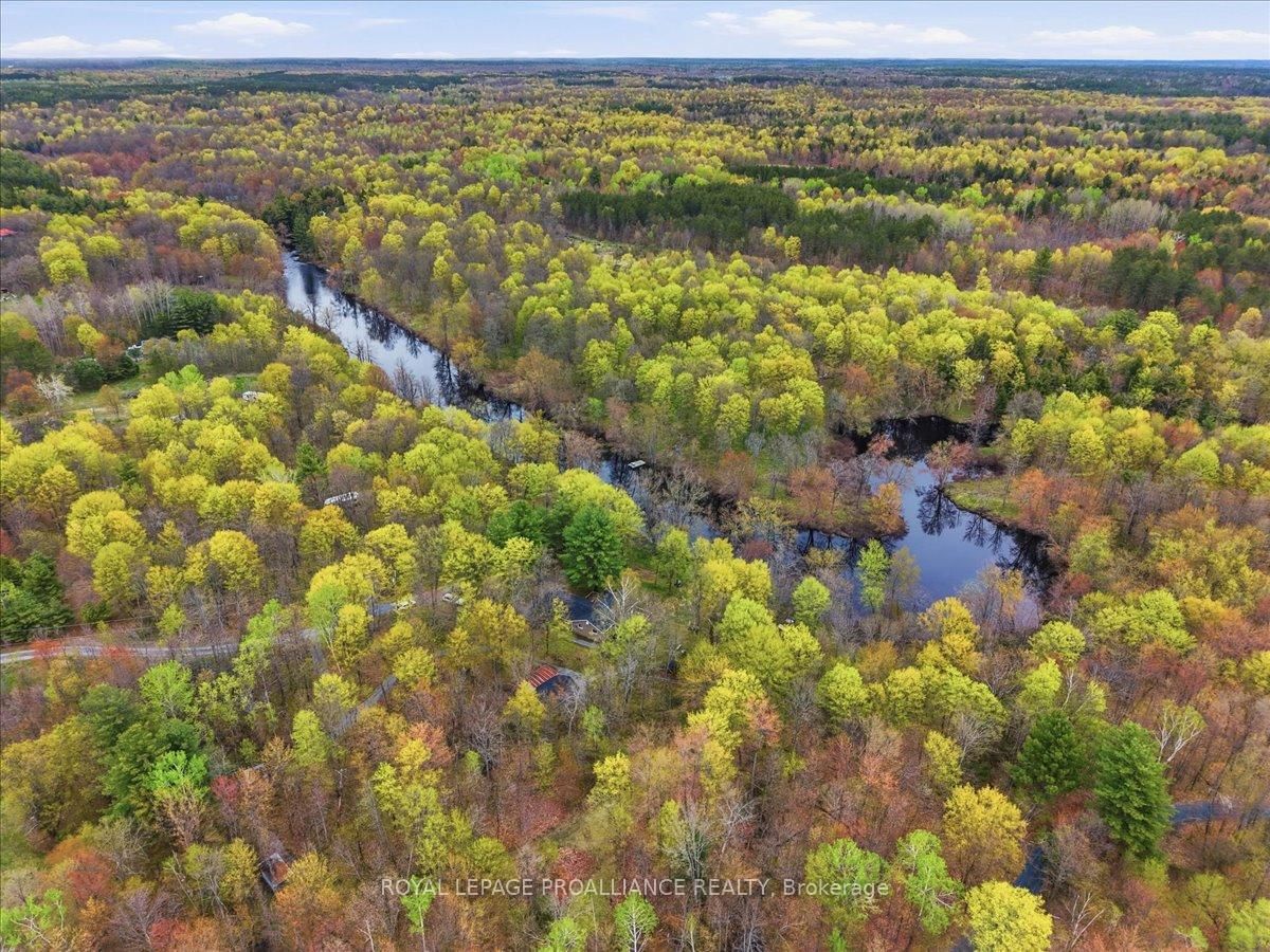 606 Black River Road • Tweed, ON photo 41