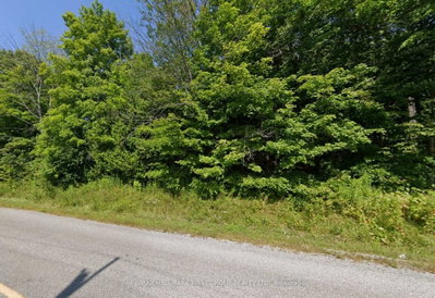 Lot 7 Concession Road