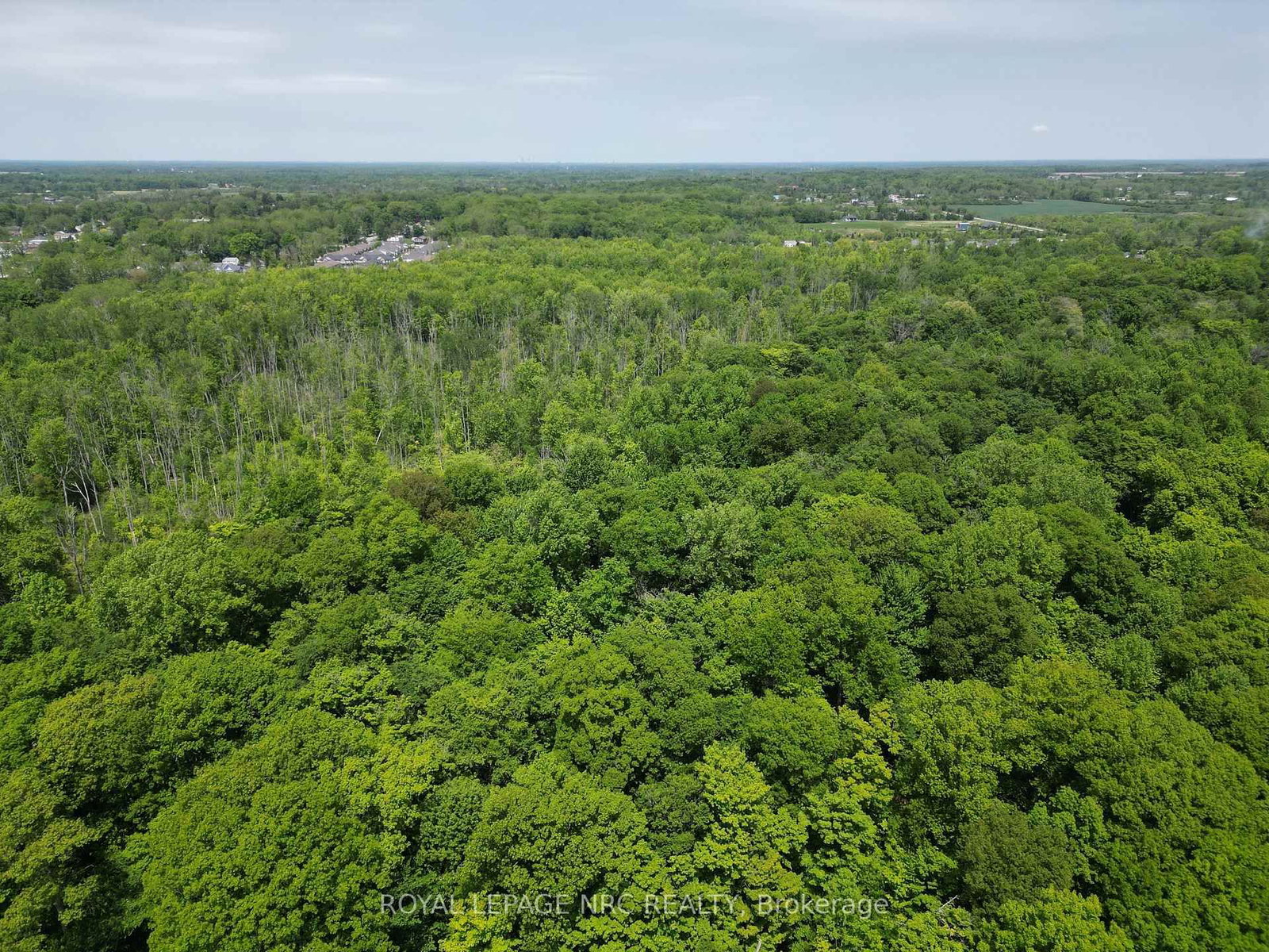 9 Sassafras Row • Fort Erie, ON photo 47