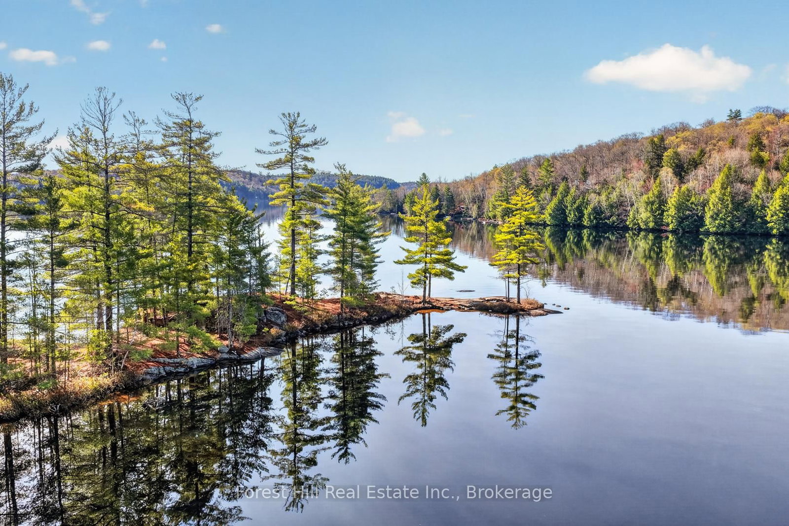 10835 Raven Lake West Shore Township • Algonquin Highlands, ON photo 10