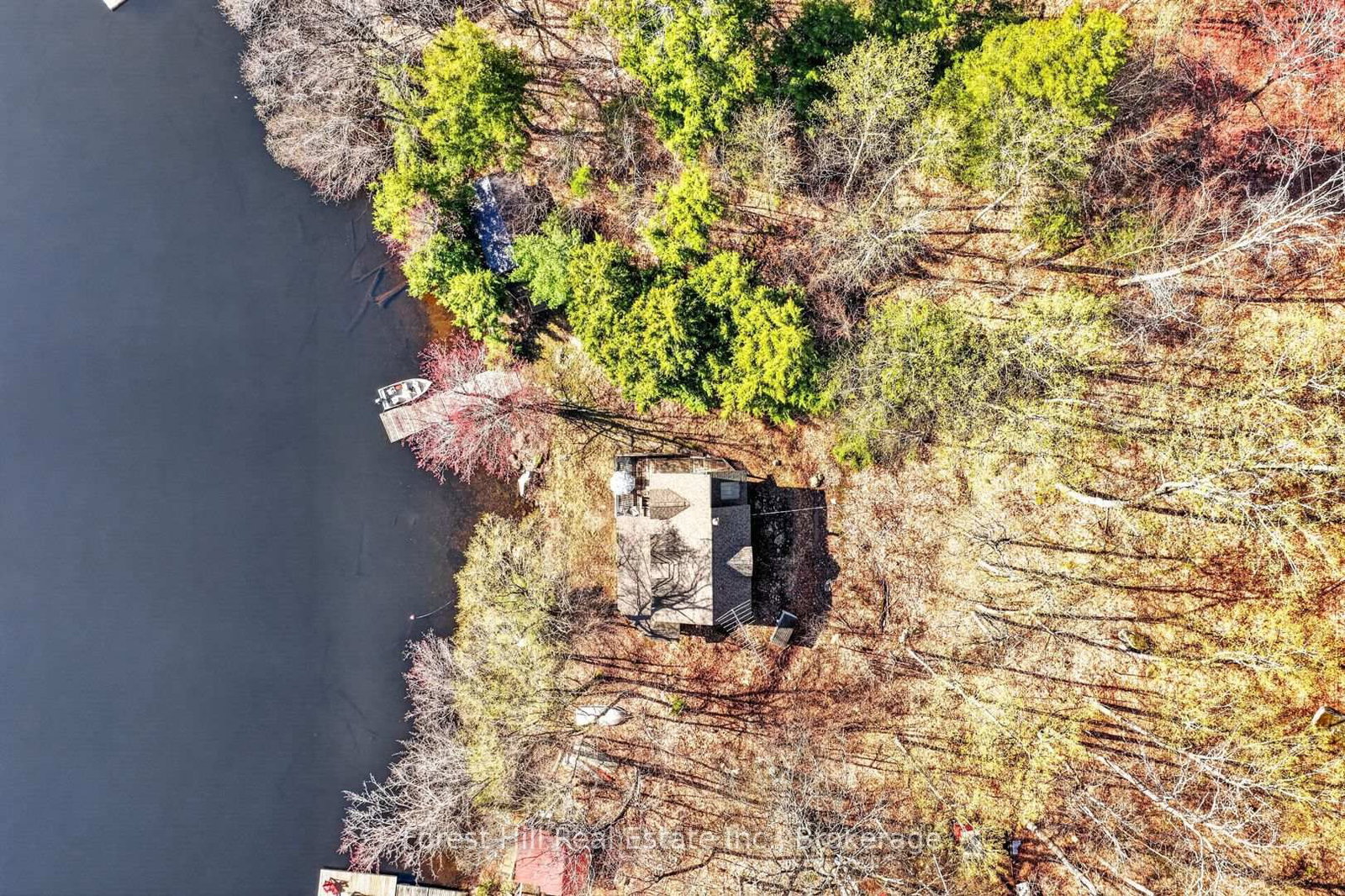 10835 Raven Lake West Shore Township • Algonquin Highlands, ON photo 11