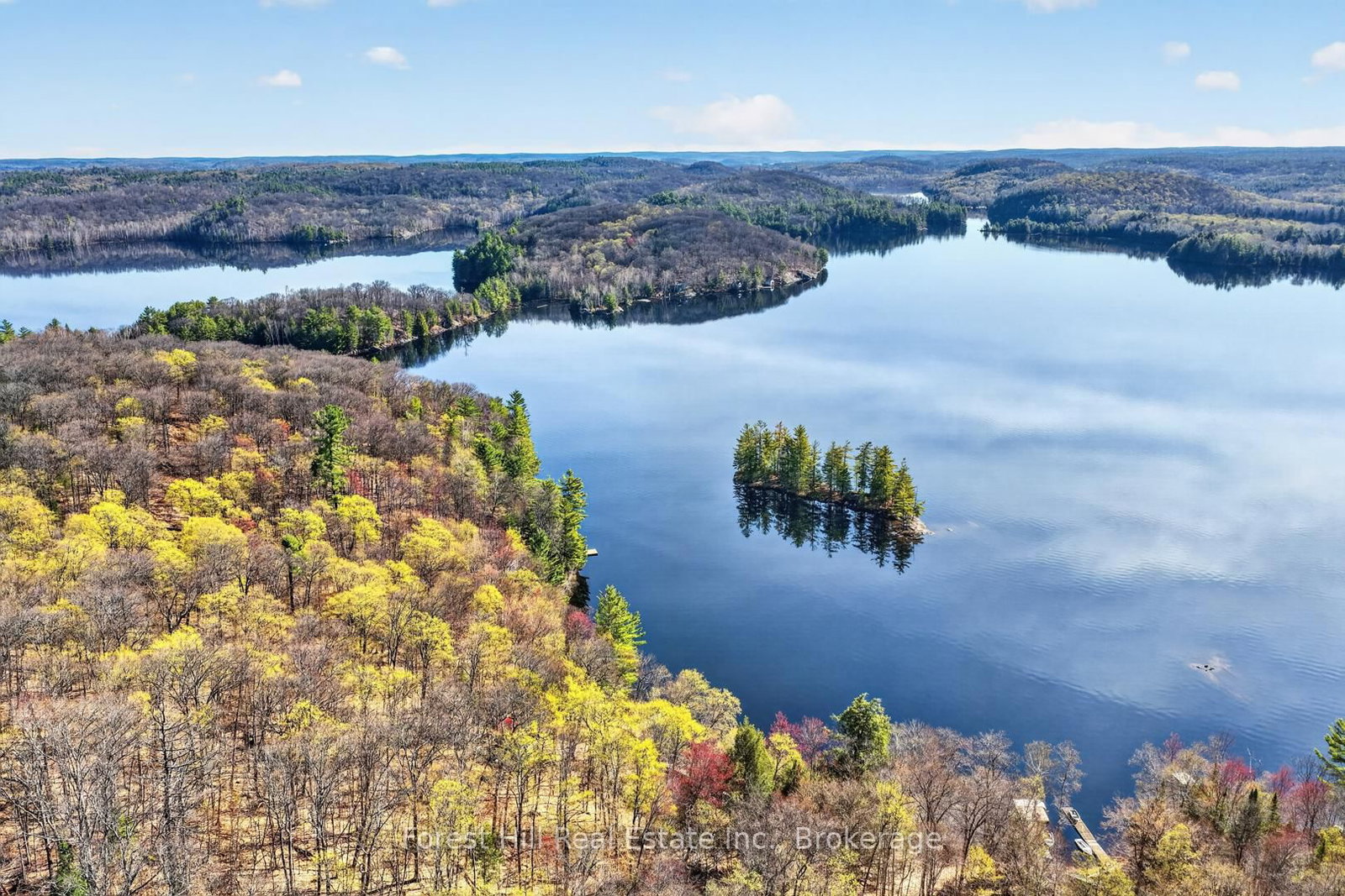 10835 Raven Lake West Shore Township • Algonquin Highlands, ON photo 12