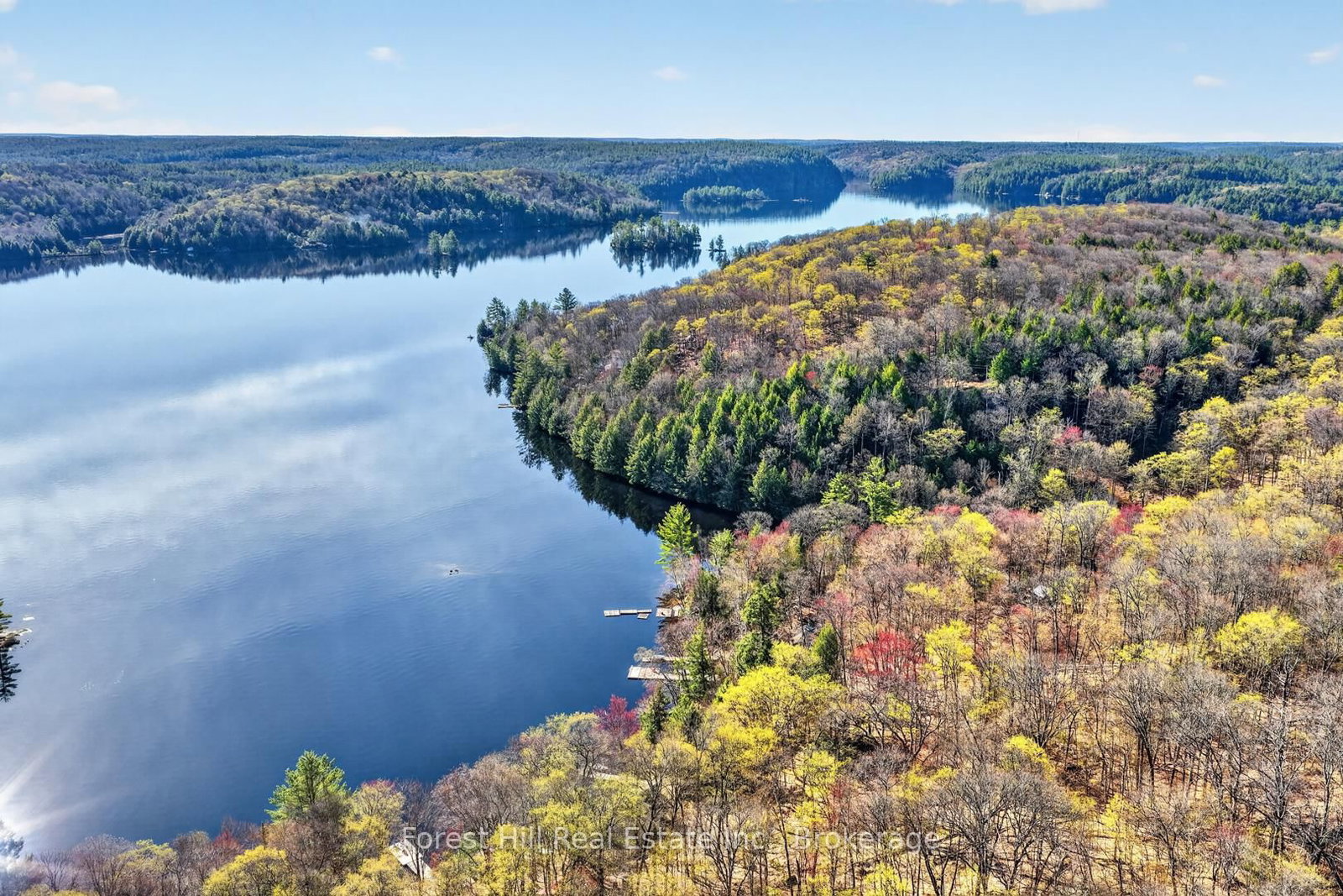 10835 Raven Lake West Shore Township • Algonquin Highlands, ON photo 14