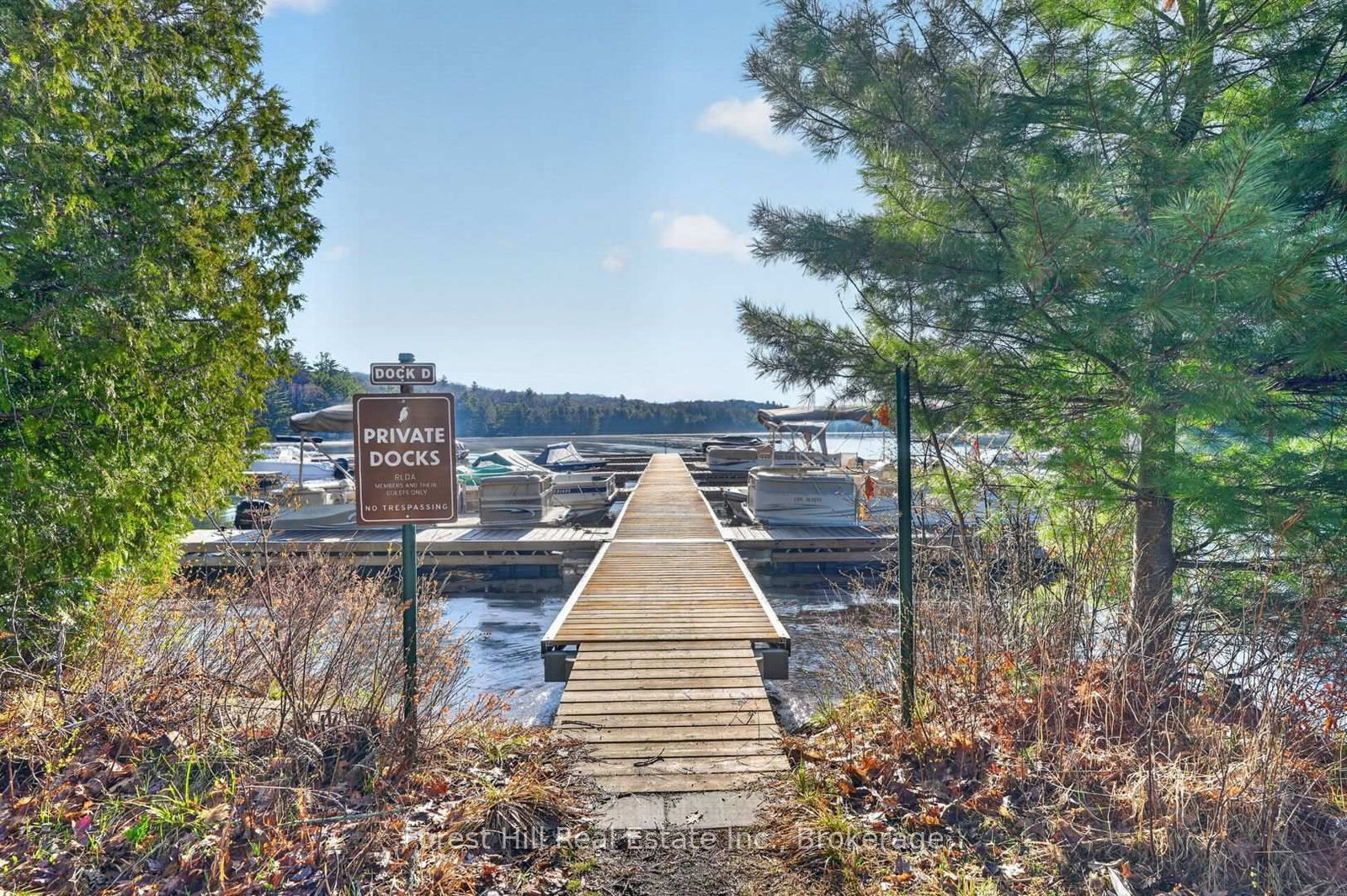 10835 Raven Lake West Shore Township • Algonquin Highlands, ON photo 18
