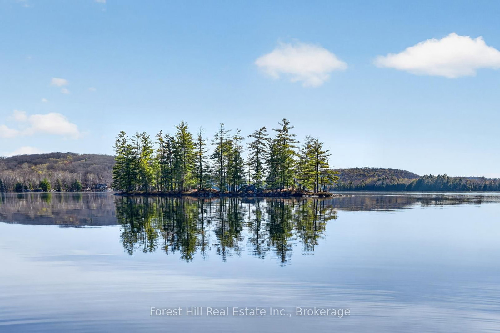 10835 Raven Lake West Shore Township • Algonquin Highlands, ON photo 27