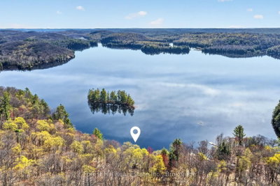 10835 Raven Lake West Shore Township • Algonquin Highlands, ON photo 3