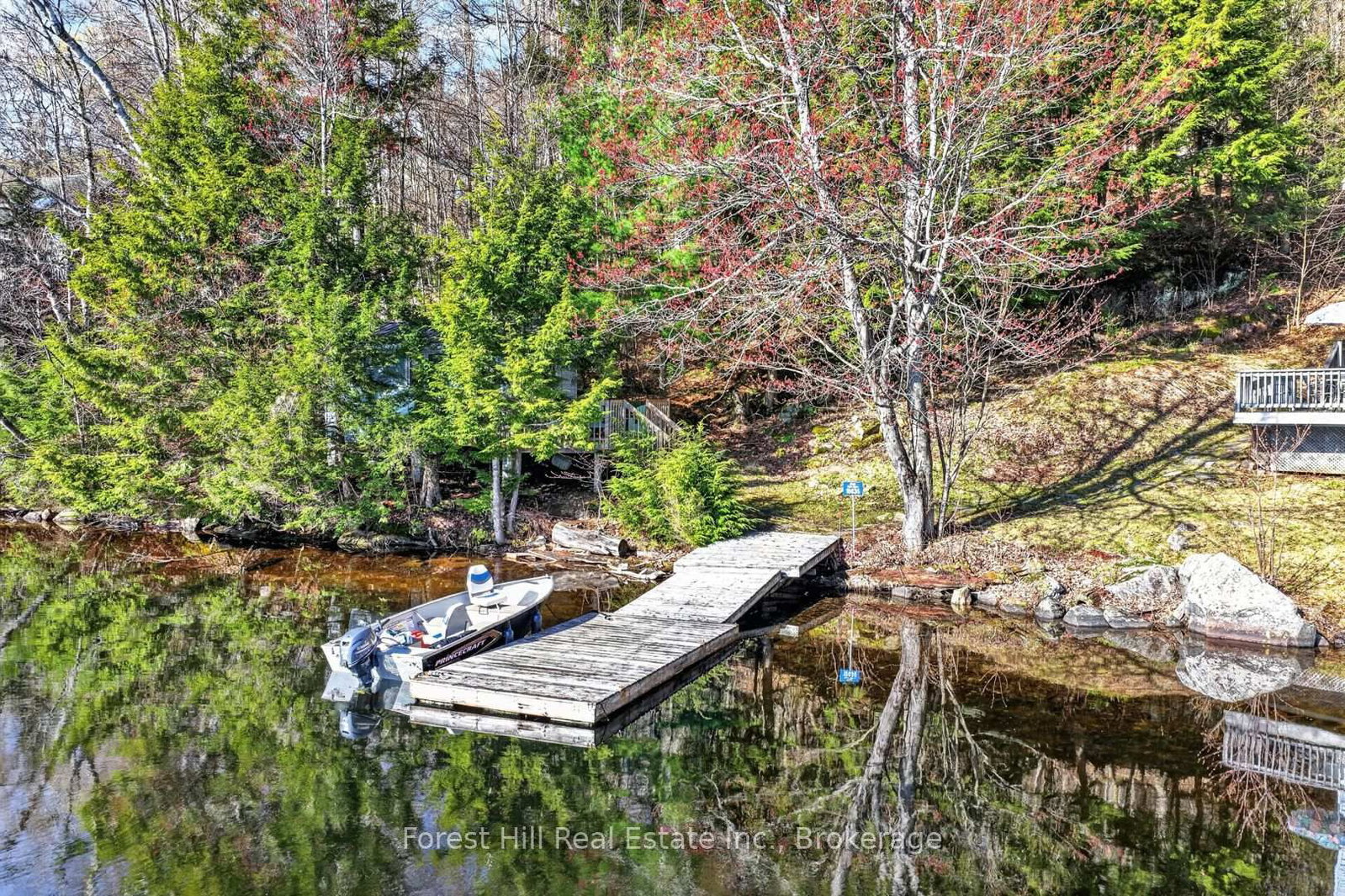 10835 Raven Lake West Shore Township • Algonquin Highlands, ON photo 5