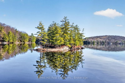 10835 Raven Lake West Shore Township • Algonquin Highlands, ON photo 7