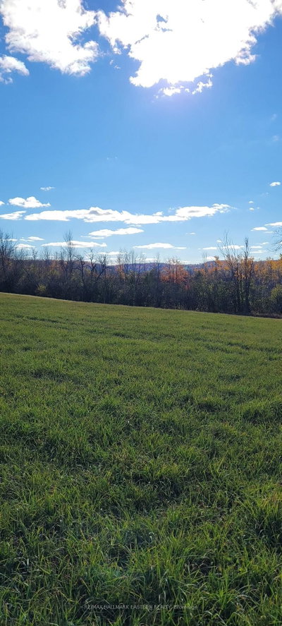 323 Orange Corners Road • Kawartha Lakes, ON photo 9