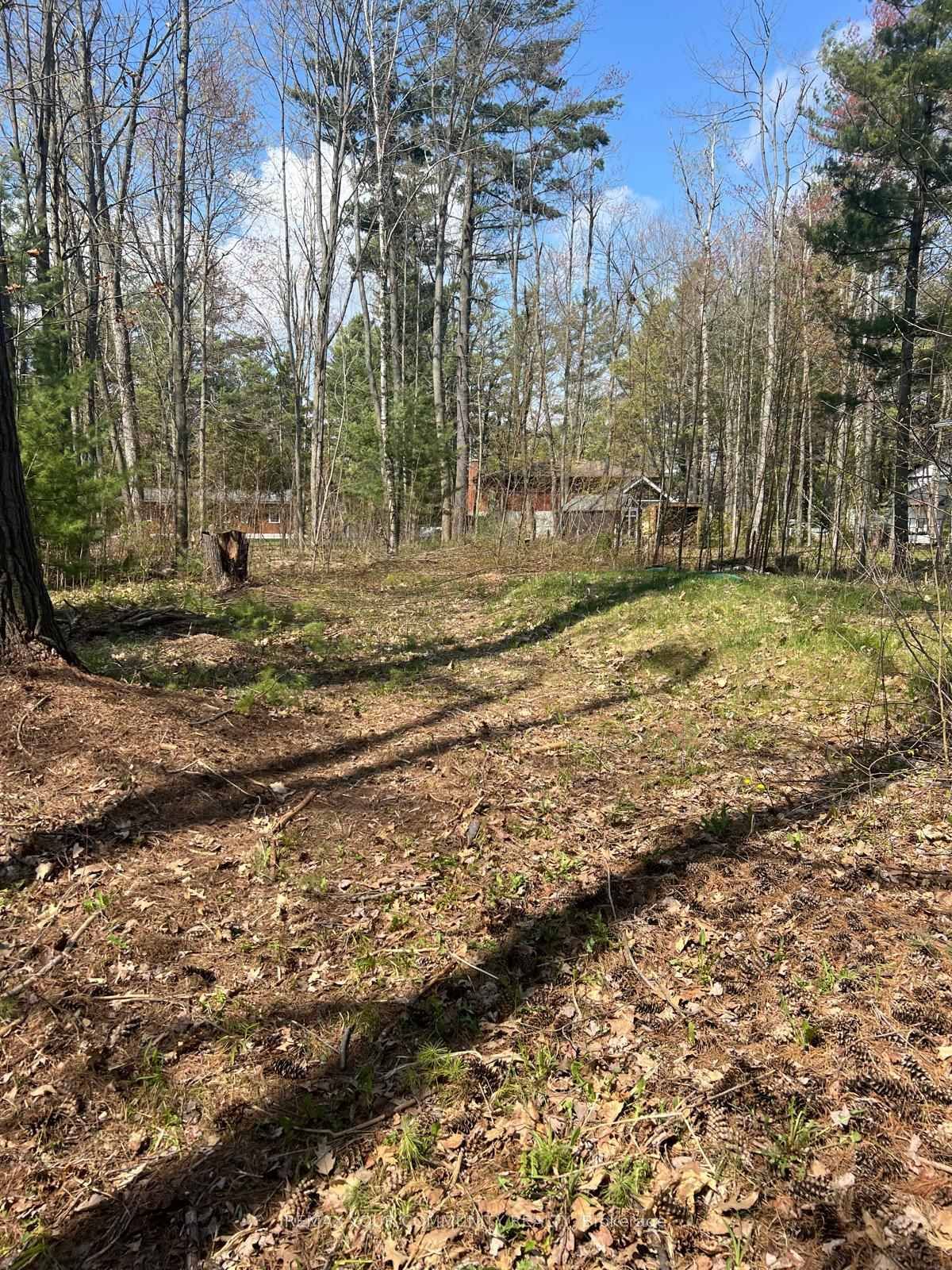 Lot 12 Stanley Road • Kawartha Lakes, ON photo 10