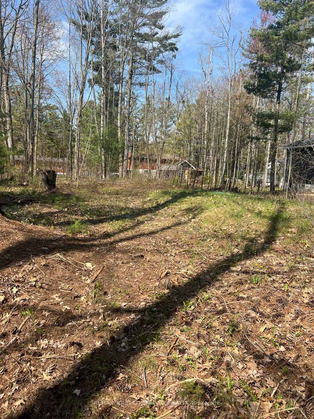 Lot 12 Stanley Road • Kawartha Lakes, ON photo 3
