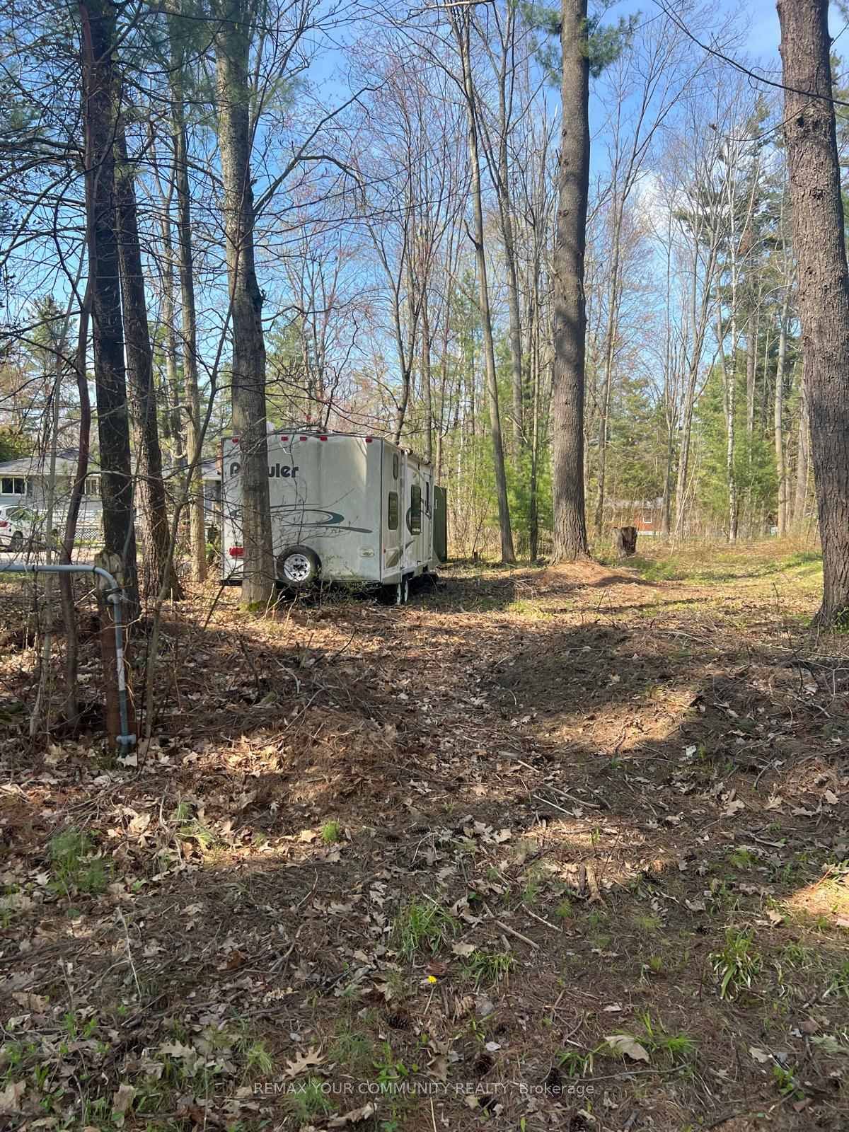 Lot 12 Stanley Road • Kawartha Lakes, ON photo 4