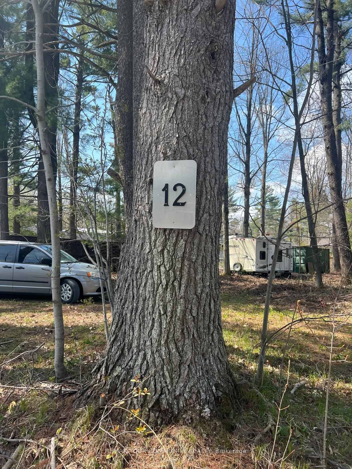 Lot 12 Stanley Road • Kawartha Lakes, ON photo 5