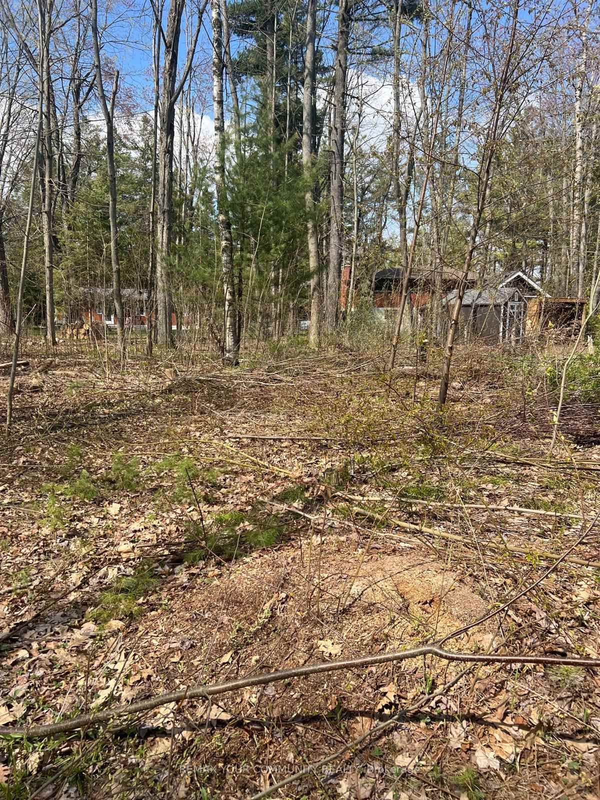 Lot 12 Stanley Road • Kawartha Lakes, ON photo 6