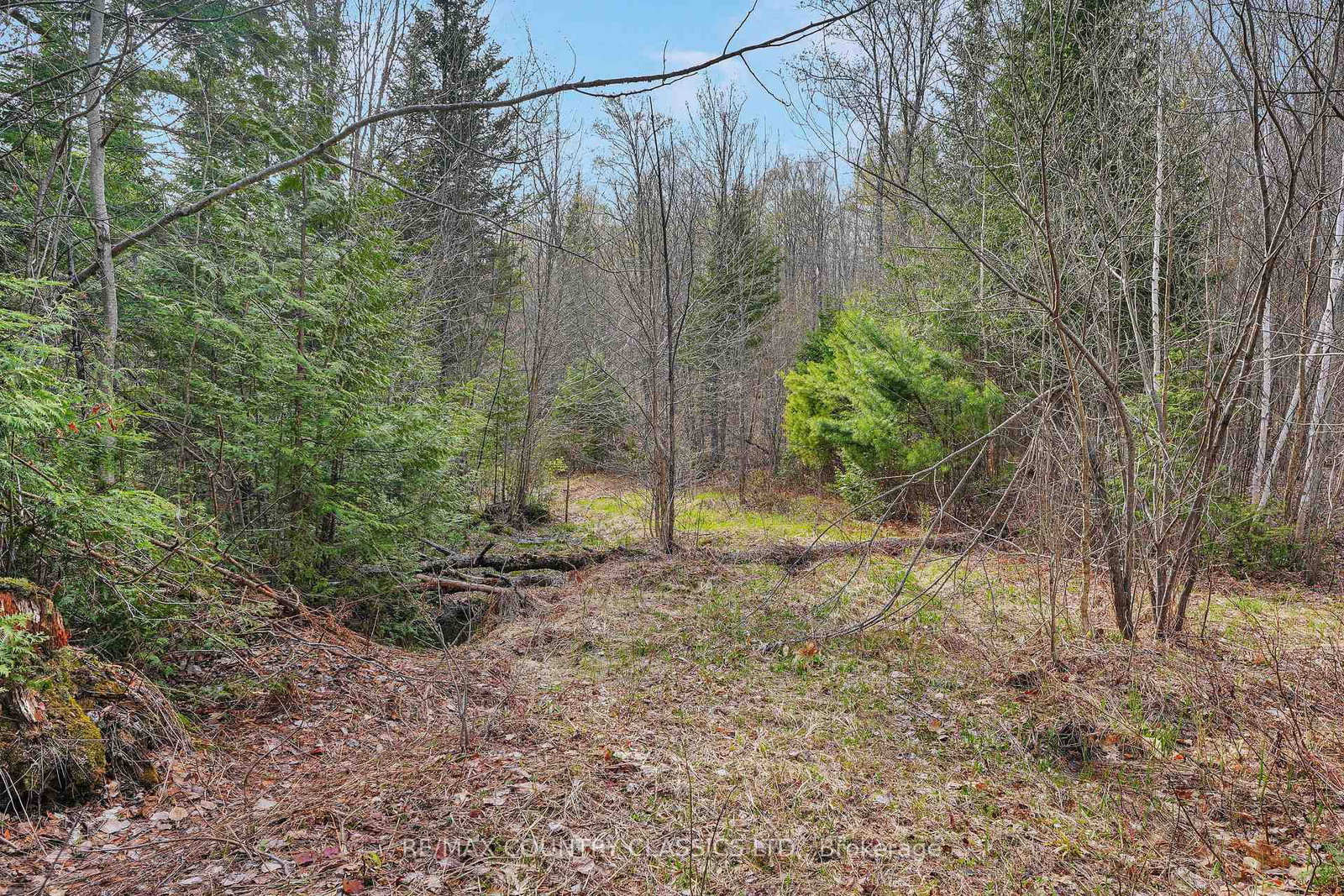 1374 Havensford Drive • Highlands East, ON photo 17