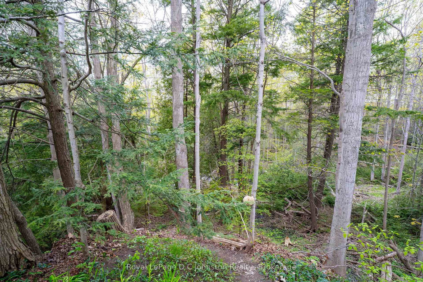 Listing Image 40