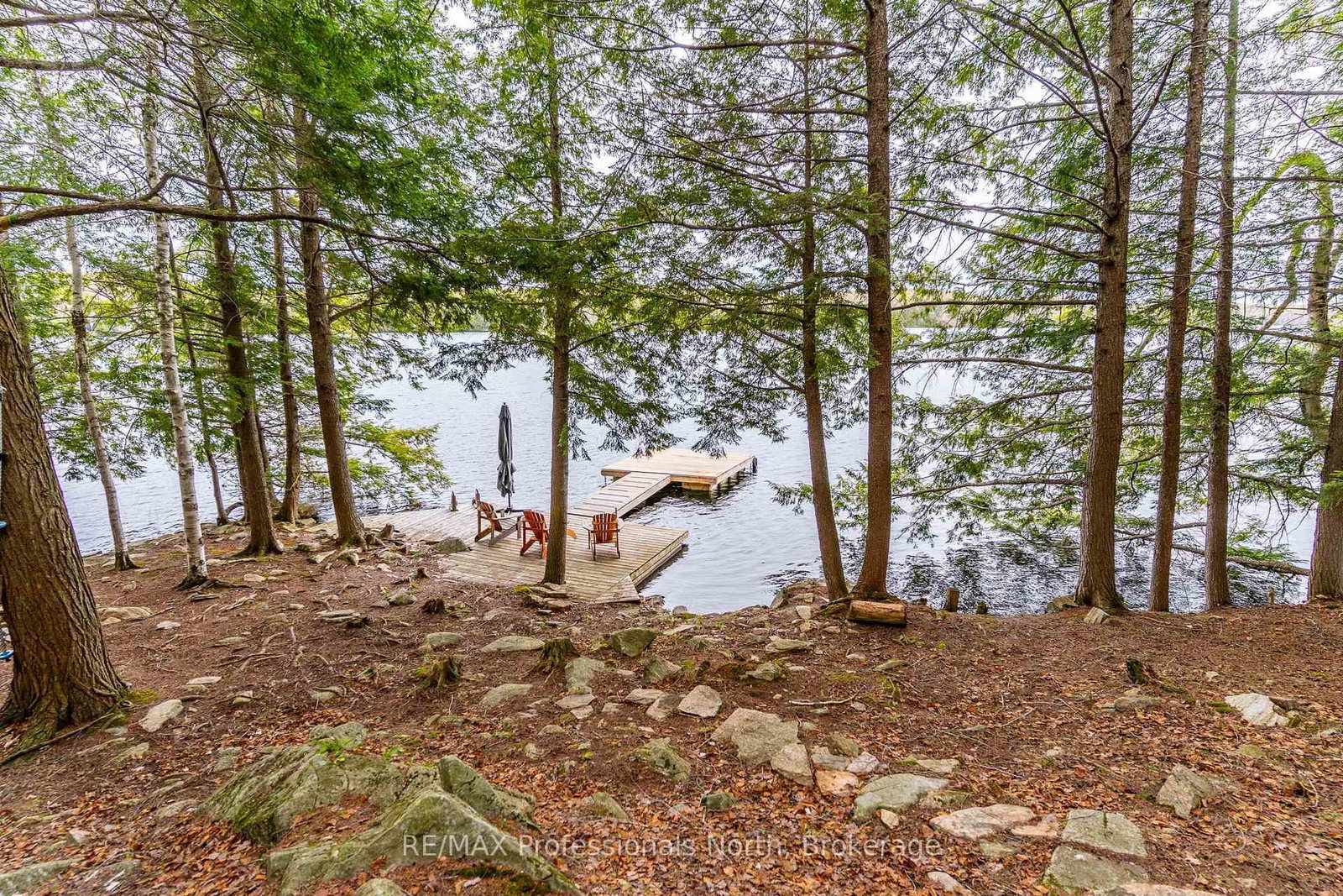 1201 Trellis Trail • Minden Hills, ON photo 11