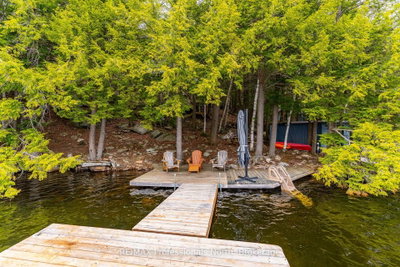 1201 Trellis Trail • Minden Hills, ON photo 3