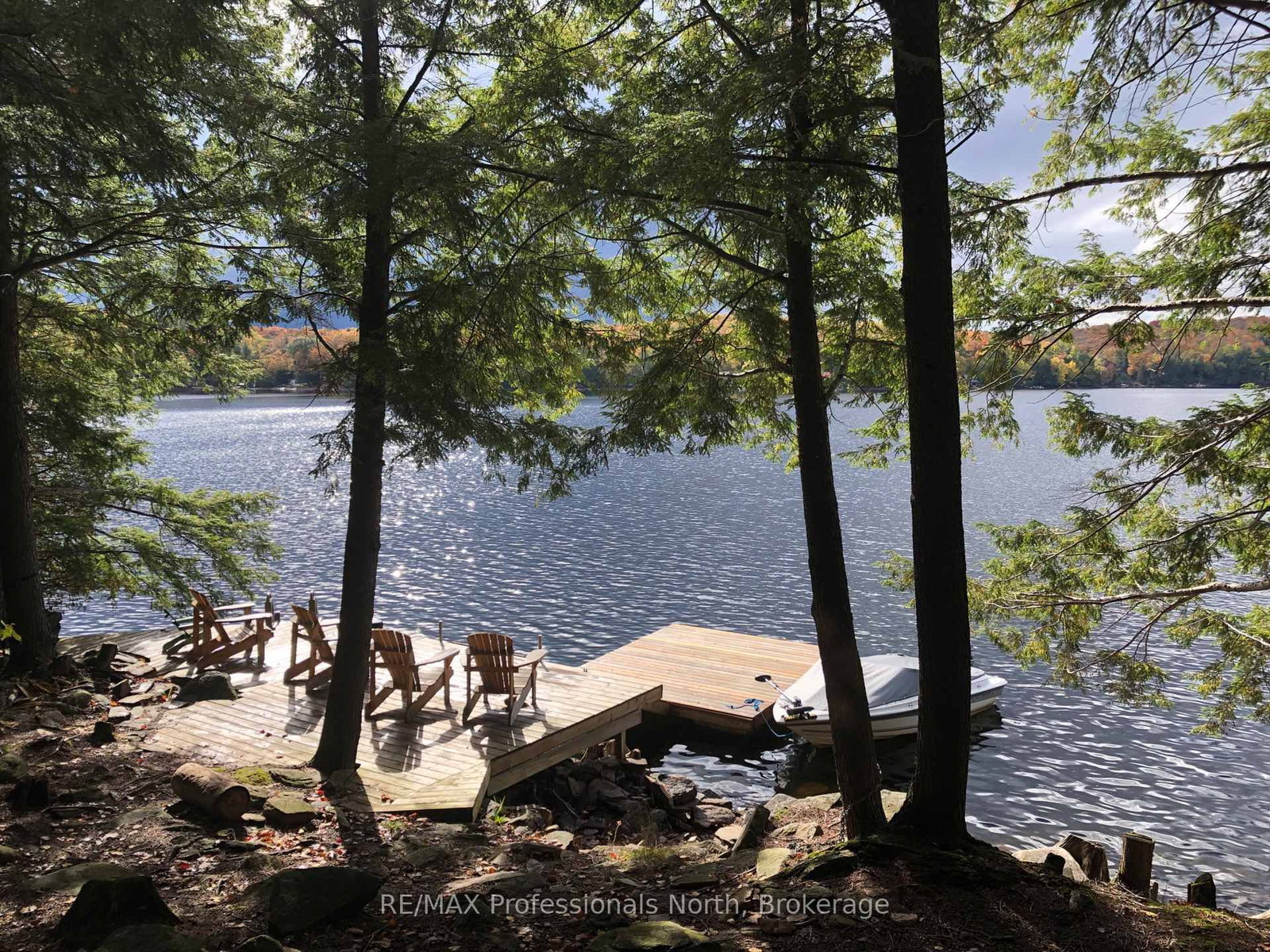 1201 Trellis Trail • Minden Hills, ON photo 39