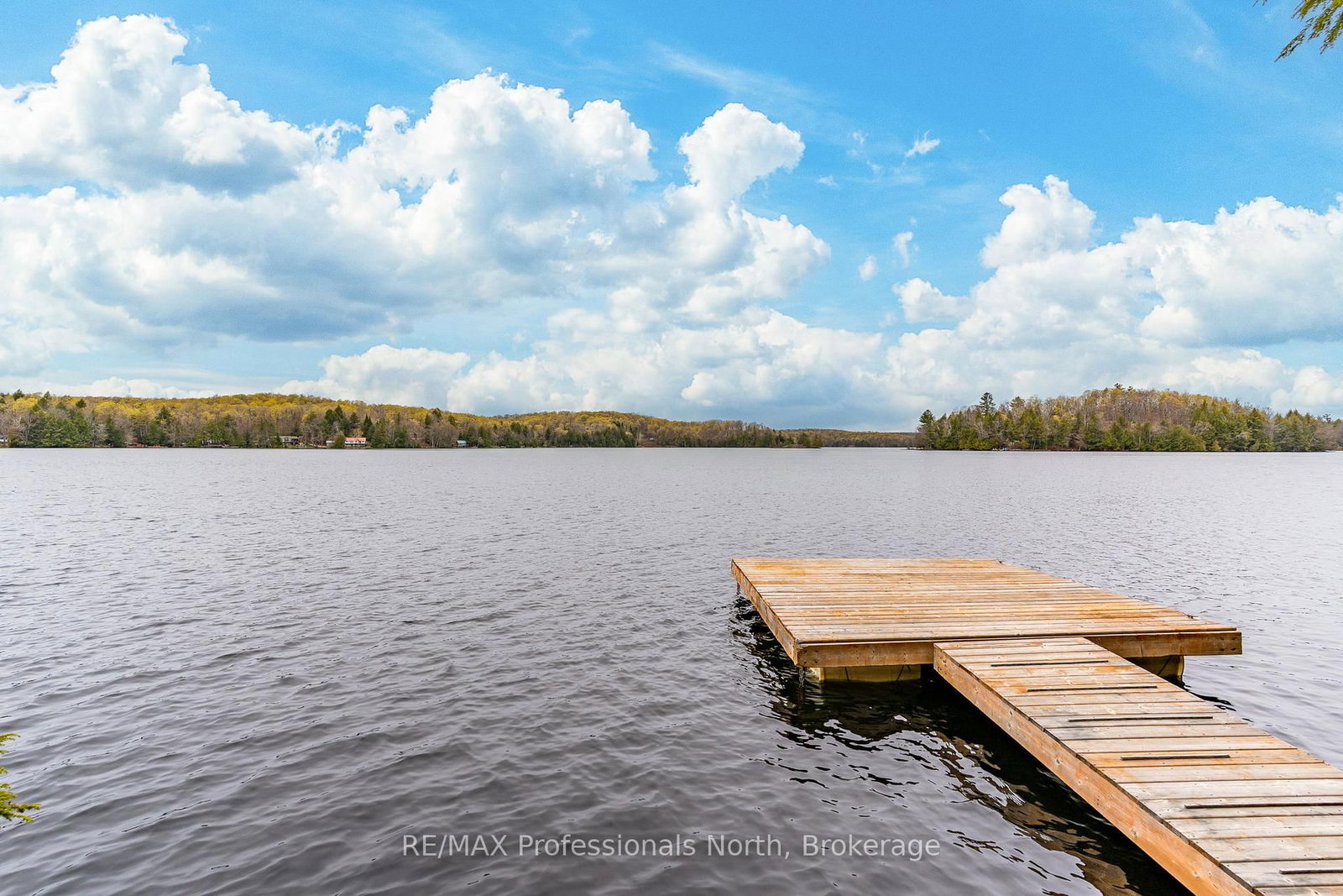 1201 Trellis Trail • Minden Hills, ON photo 5