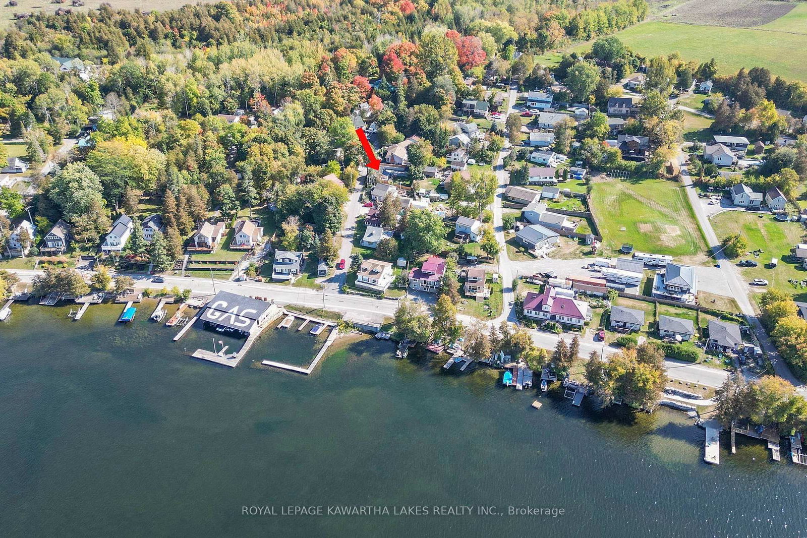 12 Birchcliff Avenue • Kawartha Lakes, ON photo 39