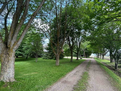 361225 Con 8-9 • East Luther Grand Valley, ON photo 6