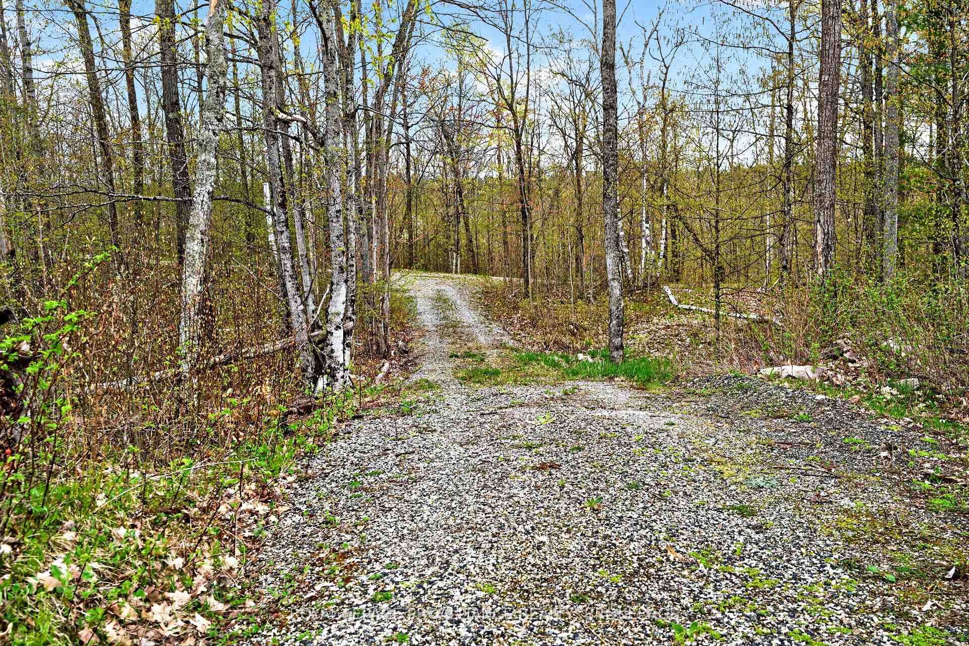 1117 Beaver Creek Lane Lot 7
