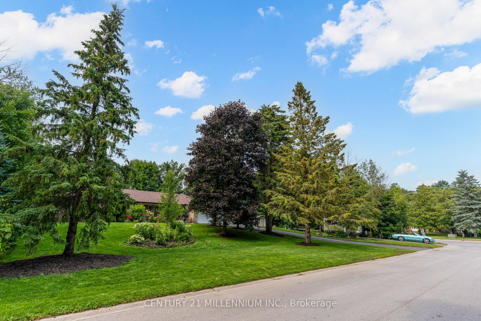 101 Birch Grove • Shelburne, ON photo 4