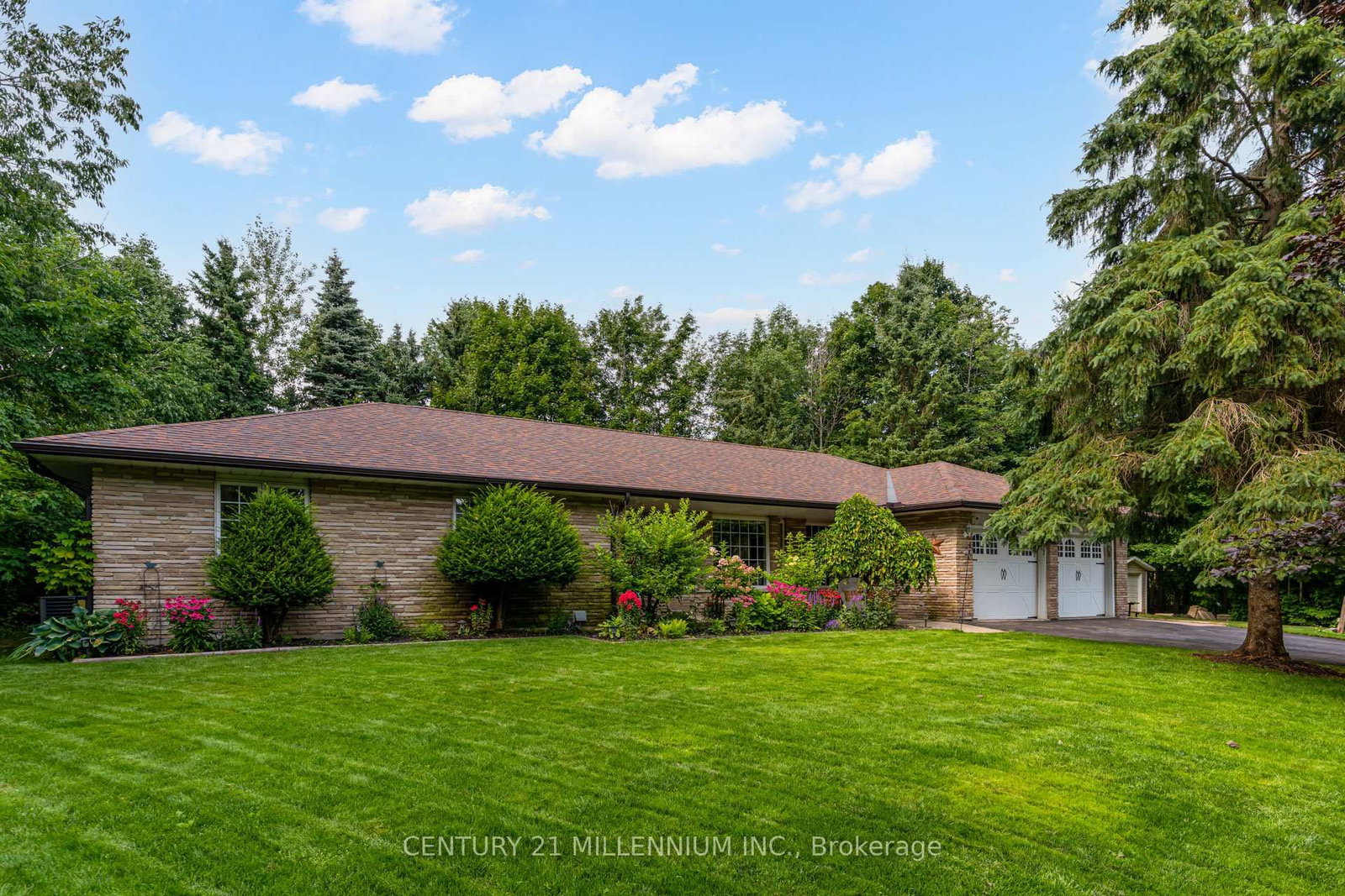 101 Birch Grove • Shelburne, ON photo 6
