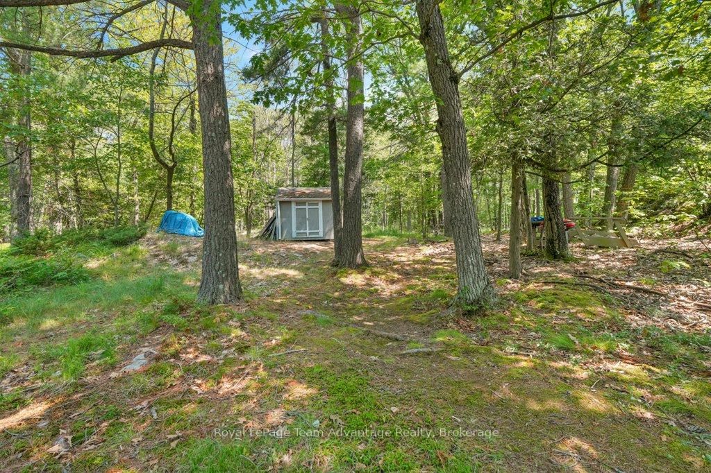 46 Huckleberry Island • Carling, ON photo 28