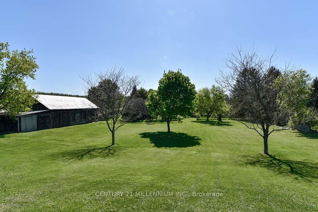 Listing Image 43