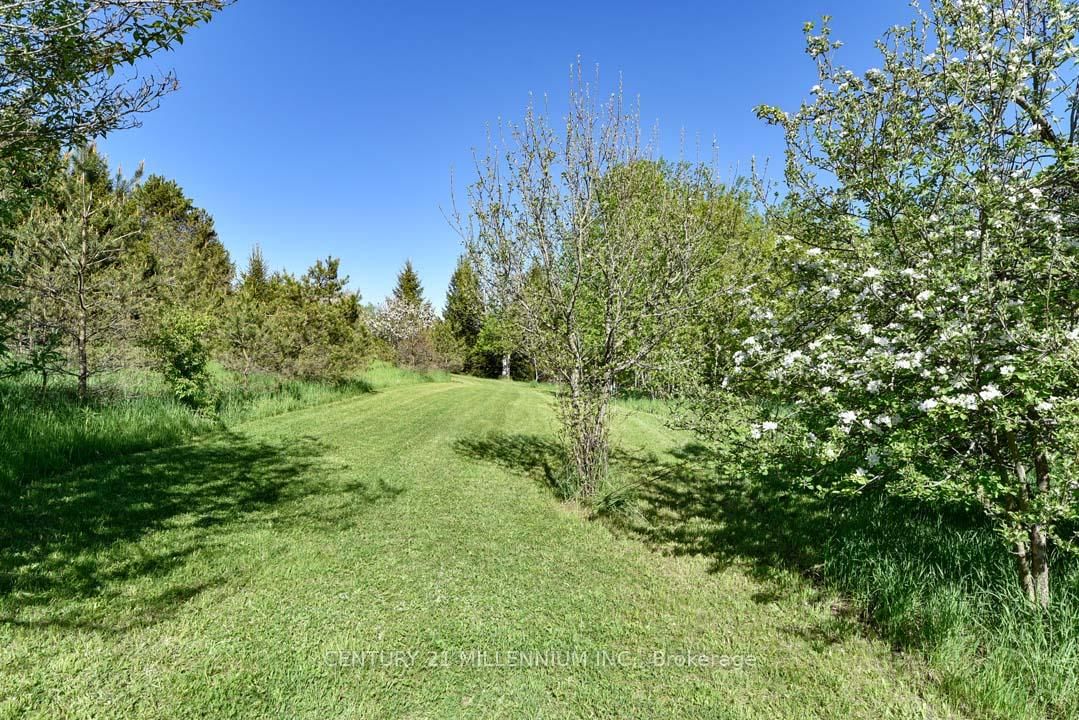 Listing Image 45