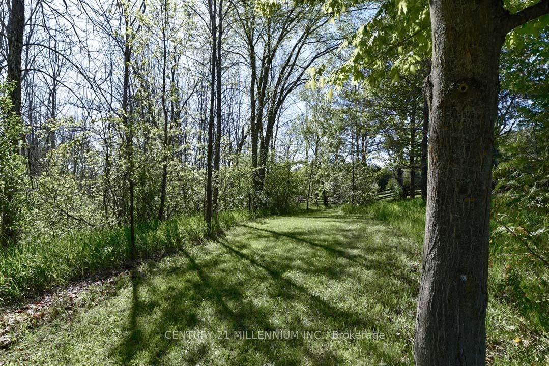 Listing Image 46