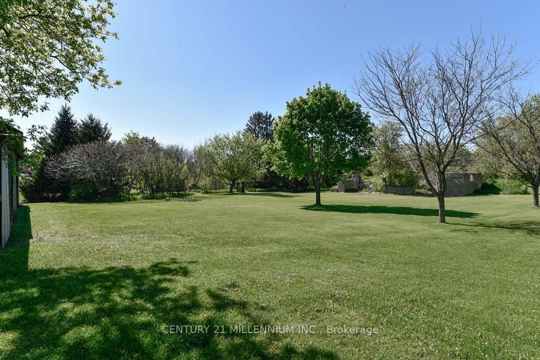 Listing Image 47