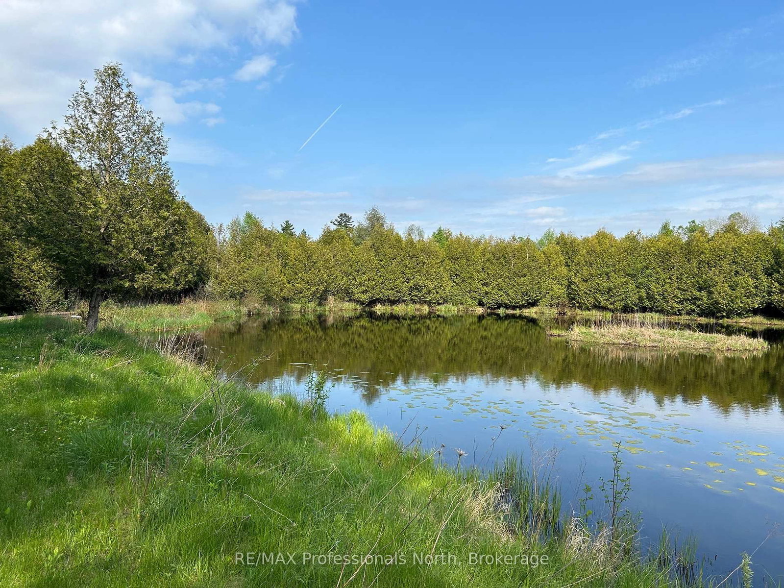 810 4th Line • Douro-Dummer, ON photo 11