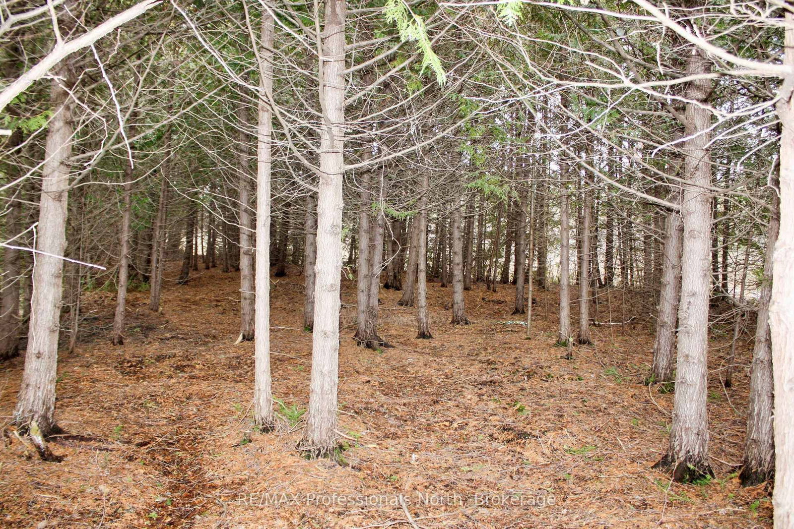 810 4th Line • Douro-Dummer, ON photo 21