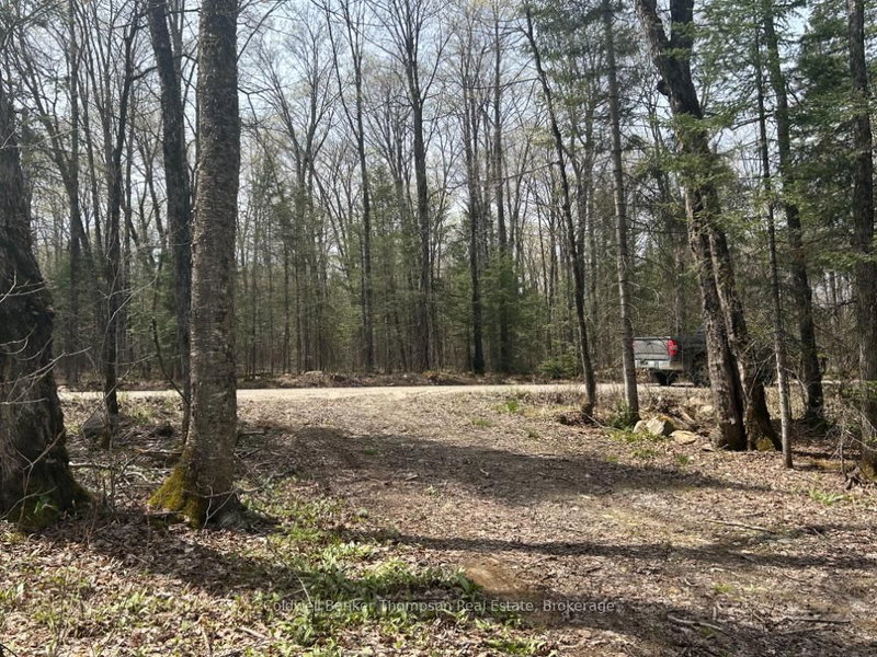 home for sale on 0 Ely Side Road