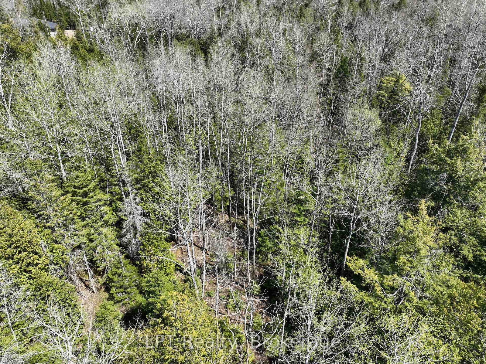 Lot 10 Trillium Crossing • Northern Bruce Peninsula, ON photo 20