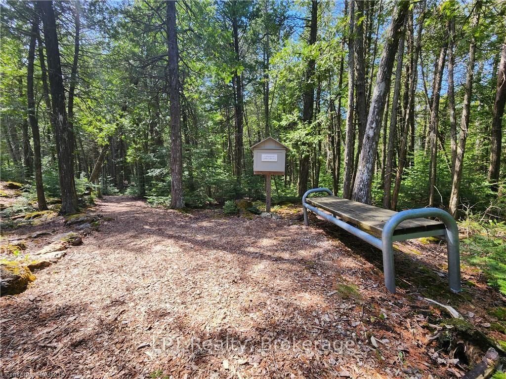 Lot 10 Trillium Crossing • Northern Bruce Peninsula, ON photo 22