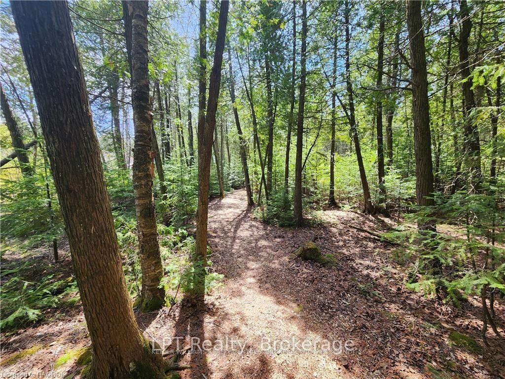 Lot 10 Trillium Crossing • Northern Bruce Peninsula, ON photo 30