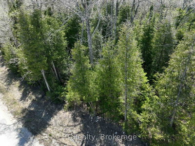 Lot 10 Trillium Crossing • Northern Bruce Peninsula, ON photo 4