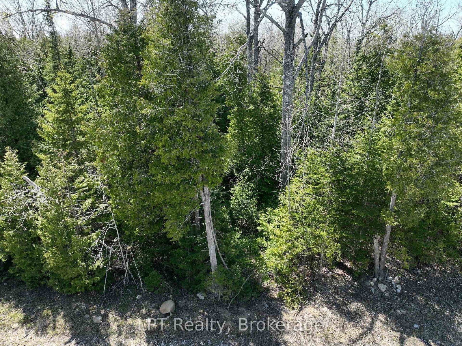 Lot 10 Trillium Crossing • Northern Bruce Peninsula, ON photo 5