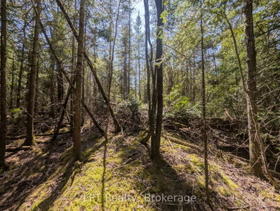 Lot 10 Trillium Crossing • Northern Bruce Peninsula, ON photo 8
