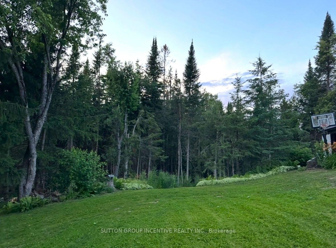 519 Galway Road • Trent Lakes, ON photo 41