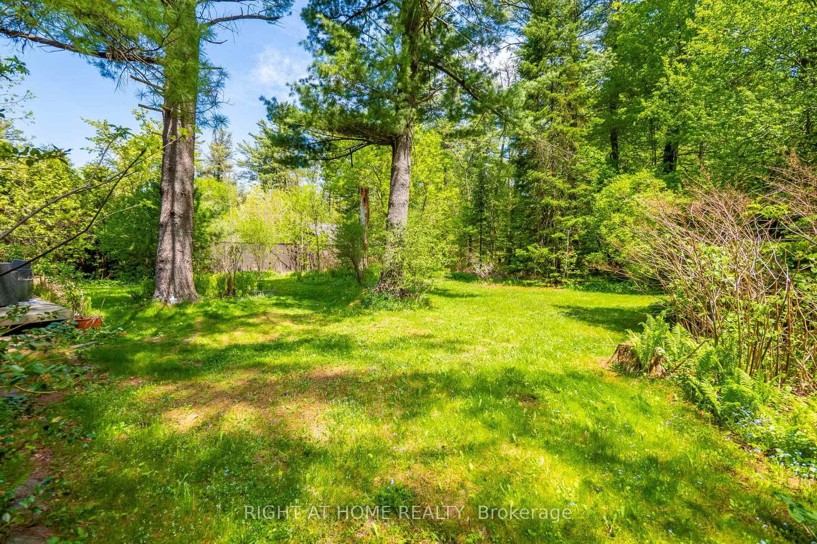 255 Shaver Road, Hamilton, ON, photo 4