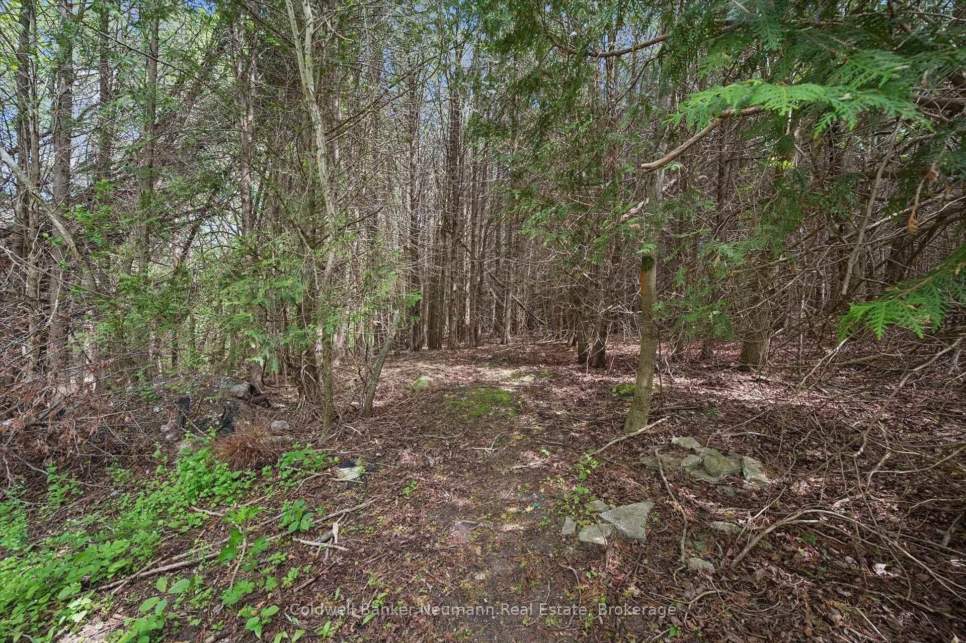 6592 Forestell Road