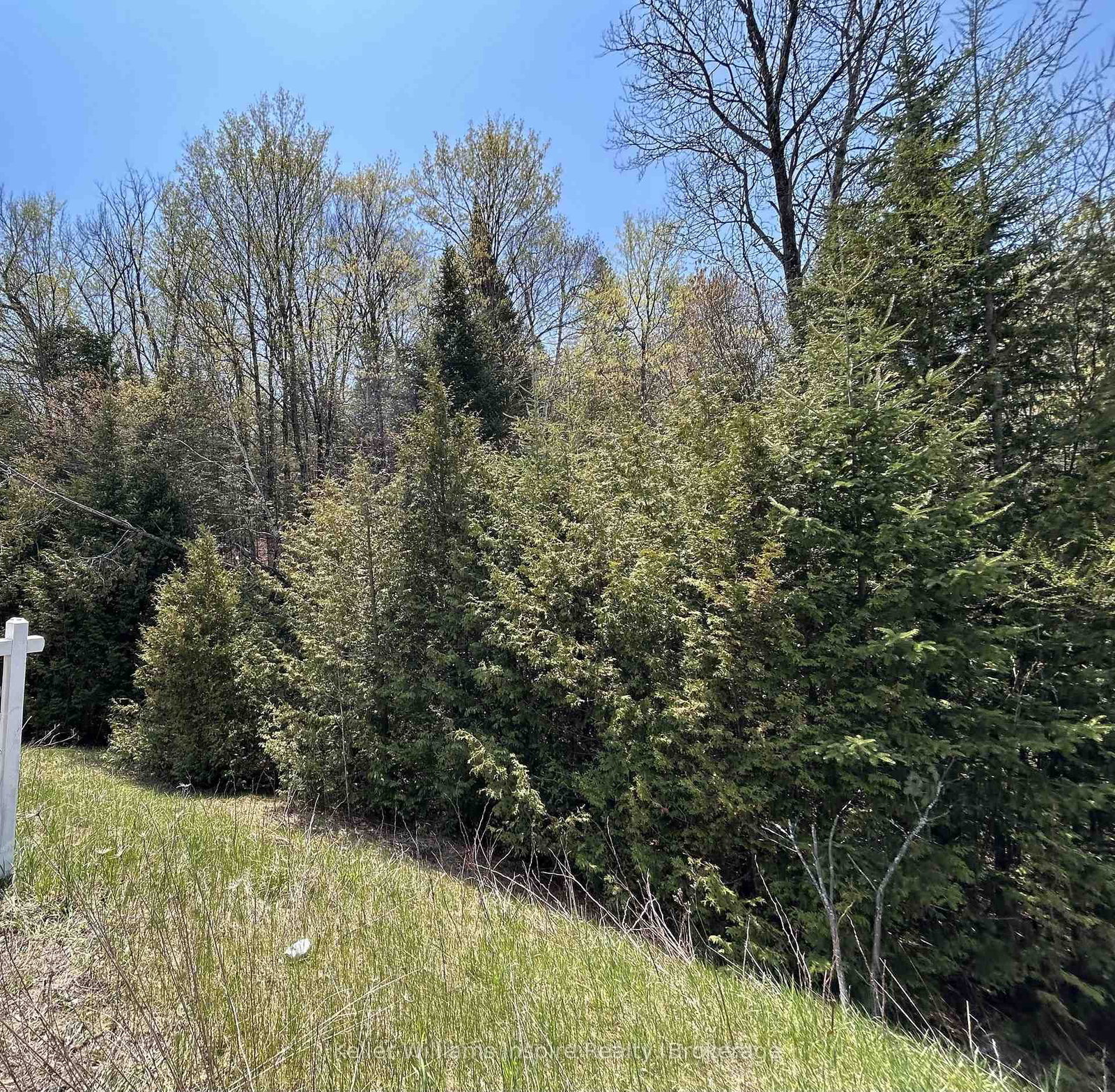 0 Highway 118 • Bancroft, ON photo 16